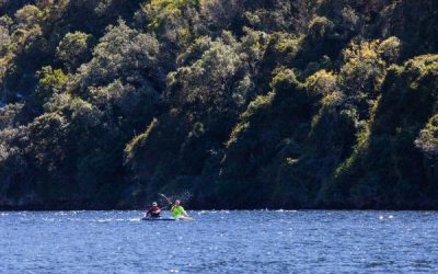 Explore Keurbooms River Nature Reserve in Plettenberg Bay